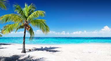 Occidental Punta Cana - All Inclusive Resort - Punta Cana