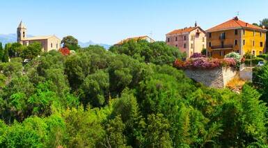 Figari