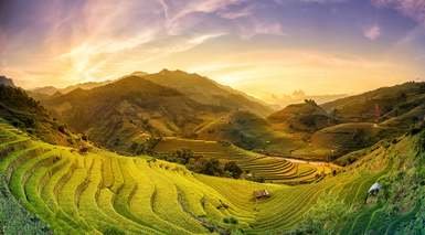 Viaje a Indonesia Viaje a Indonesia