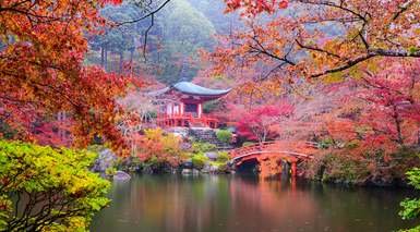 Kyoto