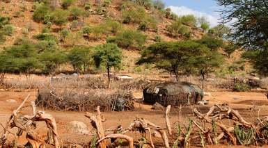 Samburu