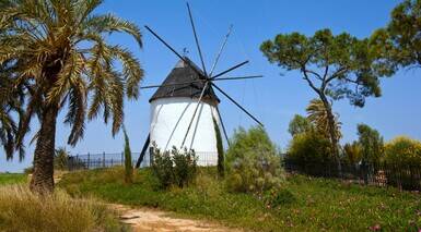 Torre-Pacheco