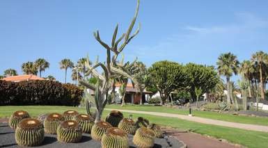 كاليتا دي فوستي