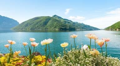 Lugano