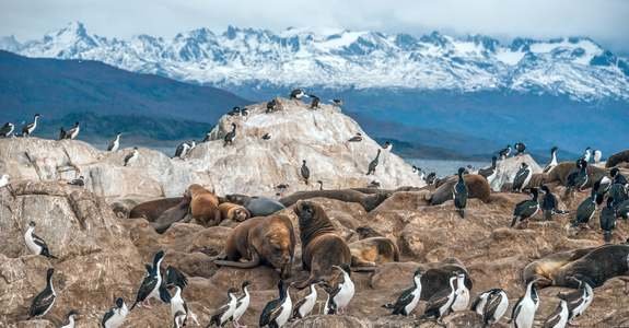 Circuito Argentina Esencial con Ushuaia