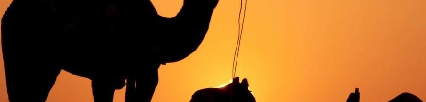 Marrakech y Desierto de Zagora