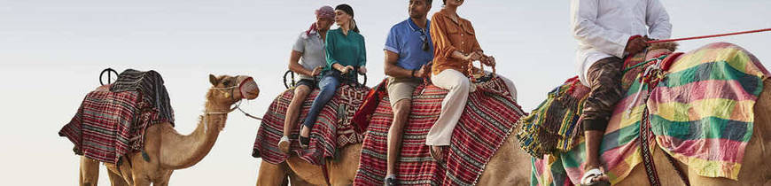 Escapada a Dubái con Safari en el Desierto 