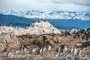 Ushuaia (Argentina)