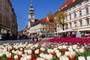 Graz