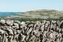 El Burren
