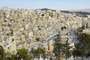 Amman