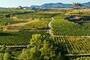 La Rioja
