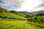 Rioja