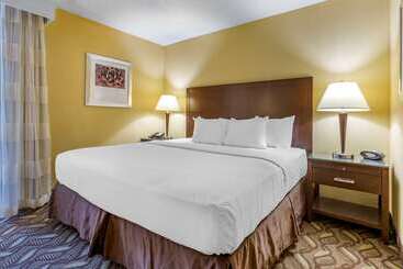 فندق Clarion Inn & Suites