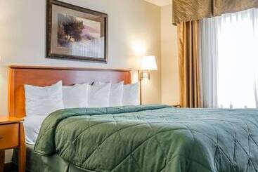 فندق Quality Inn & Suites