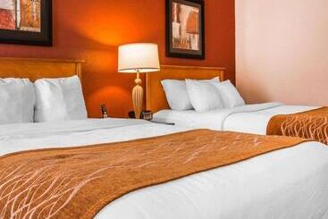 酒店 Comfort Inn & Suites And Conference Center