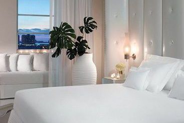 هتل Delano South Beach Miami