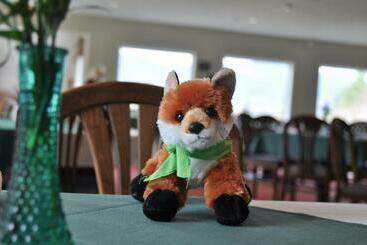 Fox Ridge Resort