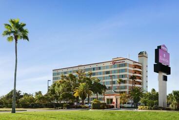 هتل Ramada By Wyndham Kissimmee Gateway   Free Theme Park Shuttle