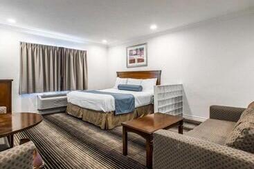 酒店 Rodeway Inn & Suites Pacific Coast Highway