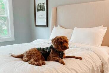 استراحتگاه Seaview, A Dolce