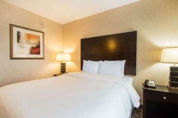 酒店 Clarion Inn Elmhurst  Oak Brook Near I88, I290, I294