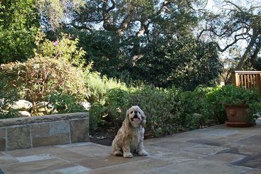 هتل San Ysidro Ranch A Rosewood Resort