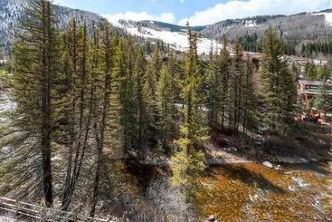 هتل The Wren at Vail 