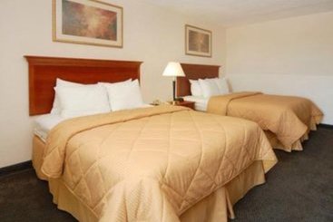 בית מלון כפרי Baymont Inn & Suites Clearwater Dunedin