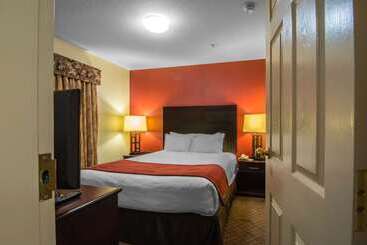 فندق Comfort Inn & Suites Airport South