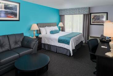 هتل Days Inn By Wyndham Sudbury & Conference Centre