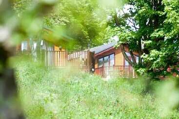 فندق Killigarth Manor Holiday Park