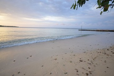 Idleawile Villa, 5br By Jamaican Treasures