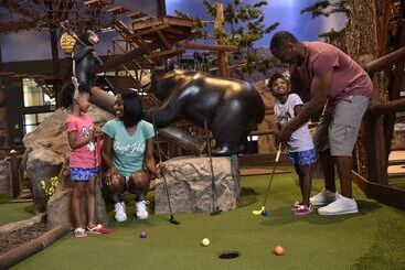 منتجع Great Wolf Lodge Georgia