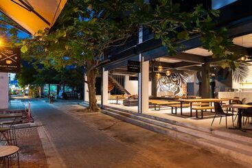 Savage Hostel Koh Tao