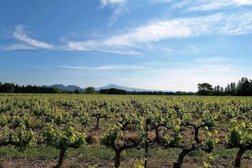 مبيت وإفطار Mas Du Clos De L Escarrat
