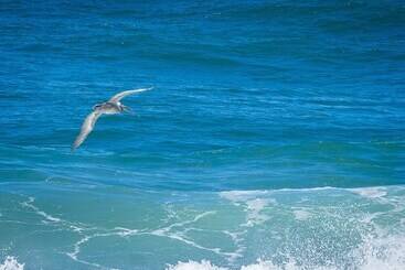 호텔 Overleaf Lodge And Spa