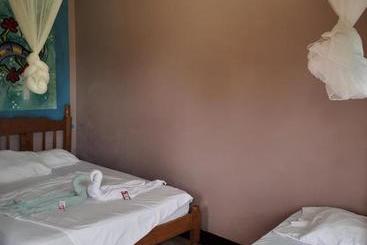 Coconut Hostel B&b