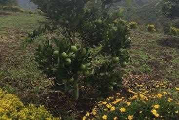 Finca El Recreo