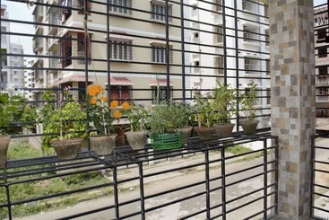 Hostel Newtown Backpackers