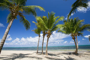 Sugar Beach Resorts