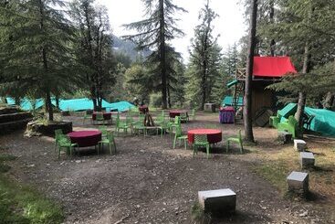 استراحتگاه Mashobra Greens