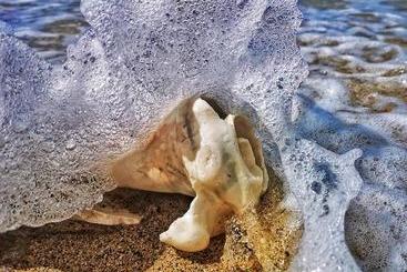 استراحتگاه Tenuta Chatham Bay