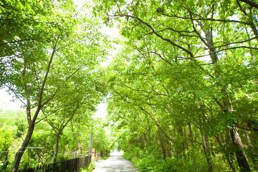 بيت ريفى Yufuin Tsukahara Kogen Sanso Donguri