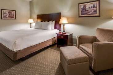 فندق Best Western Plus Bayshore Inn