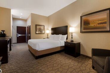 فندق Best Western University Inn And Suites