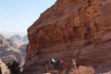 Petra Holiday Hostel