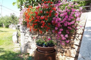 آپارتمانهای توریستها Apartment Sabina & Grapes