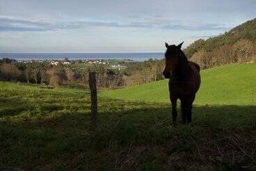 شقق خاصة سياحية Apartamentos La Collada