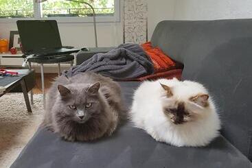 צימר Chambre D Hotes Lilimyna Avec Petit Déjeuner